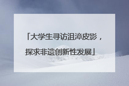 大学生寻访沮漳皮影，探求非遗创新性发展