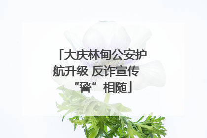 大庆林甸公安护航升级 反诈宣传“警”相随