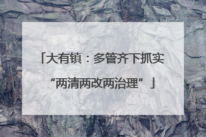 大有镇：多管齐下抓实“两清两改两治理”