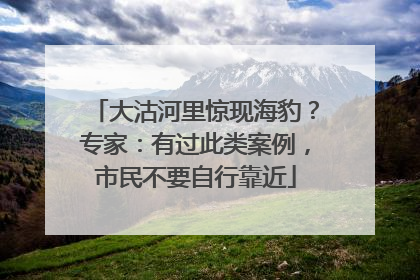 大沽河里惊现海豹？专家：有过此类案例，市民不要自行靠近