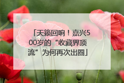 天籁回响！嘉兴500岁的“收藏界顶流”为何再次出圈