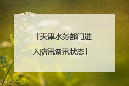 天津水务部门进入防汛备汛状态