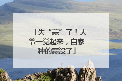 失“蒜”了！大爷一觉起来，自家种的蒜没了