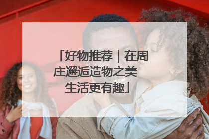 好物推荐｜在周庄邂逅造物之美 生活更有趣