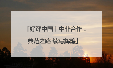 好评中国丨中非合作：典范之路 续写辉煌
