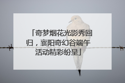 奇梦烟花光影秀回归，襄阳奇幻谷端午活动精彩纷呈