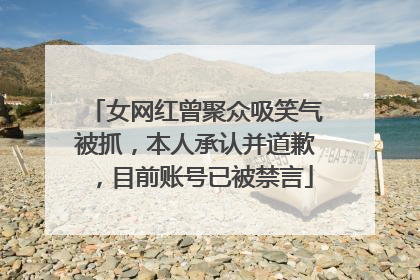 女网红曾聚众吸笑气被抓，本人承认并道歉，目前账号已被禁言
