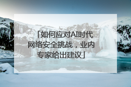 如何应对AI时代网络安全挑战，业内专家给出建议