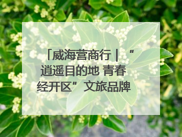 威海营商行｜“逍遥目的地 青春经开区”文旅品牌推介走进韩国