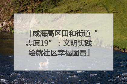 威海高区田和街道“志愿19”：文明实践绘就社区幸福图景