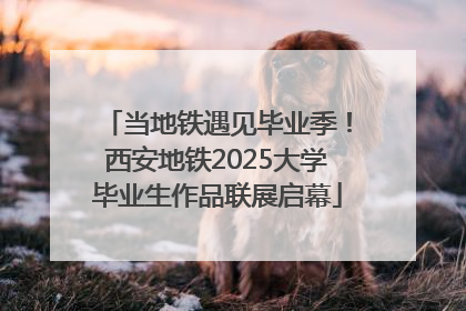 当地铁遇见毕业季！西安地铁2025大学毕业生作品联展启幕
