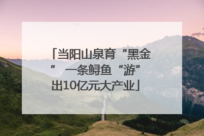 当阳山泉育“黑金” 一条鲟鱼“游”出10亿元大产业