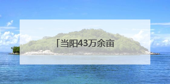 当阳43万余亩油菜颗粒归仓