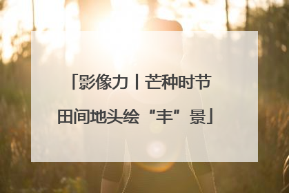 影像力丨芒种时节 田间地头绘“丰”景