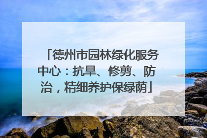 德州市园林绿化服务中心：抗旱、修剪、防治，精细养护保绿荫