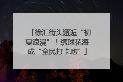 徐汇街头邂逅“初夏浪漫”！绣球花海成“全民打卡地”