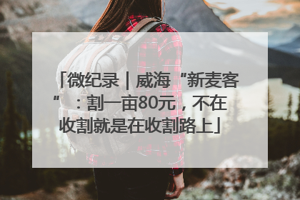 微纪录｜威海“新麦客”：割一亩80元，不在收割就是在收割路上