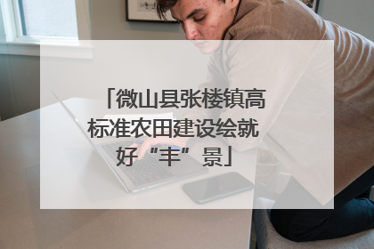 微山县张楼镇高标准农田建设绘就好“丰”景
