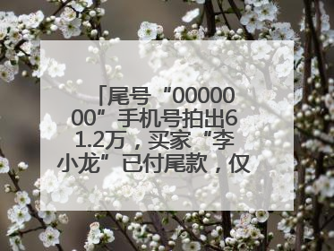 尾号“0000000”手机号拍出61.2万，买家“李小龙”已付尾款，仅享有使用权