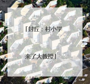 封丘：村小学来了大教授
