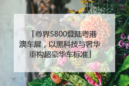 尊界S800登陆粤港澳车展，以黑科技与奢华重构超豪华车标准