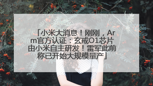 小米大消息！刚刚，Arm官方认证：玄戒O1芯片由小米自主研发！雷军此前称已开始大规模量产