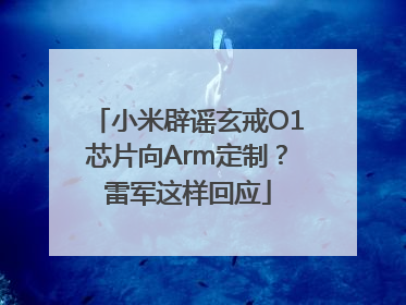 小米辟谣玄戒O1芯片向Arm定制？雷军这样回应