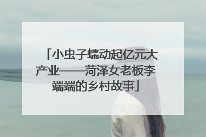 小虫子蠕动起亿元大产业——菏泽女老板李端端的乡村故事