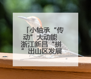 小轴承“传动”大动能 浙江新昌“拼”出山区发展新路