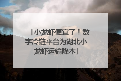 小龙虾便宜了！数字冷链平台为湖北小龙虾运输降本