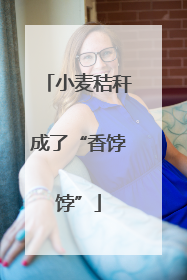 小麦秸秆成了“香饽饽”