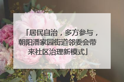居民自治，多方参与，朝阳潘家园街道邻委会带来社区治理新模式