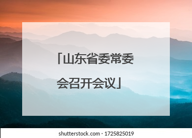 山东省委常委会召开会议