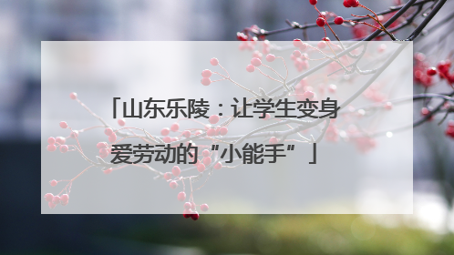 山东乐陵：让学生变身爱劳动的“小能手”