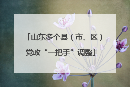 山东多个县（市、区）党政“一把手”调整