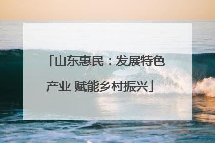 山东惠民：发展特色产业 赋能乡村振兴