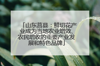 山东莒县：鲜切花产业成为当地农业增效、农民增收的重要产业发展和特色品牌
