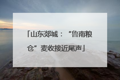 山东郯城：“鲁南粮仓”麦收接近尾声