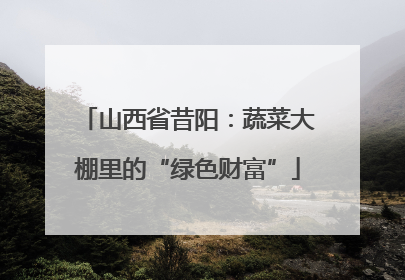 山西省昔阳：蔬菜大棚里的“绿色财富”