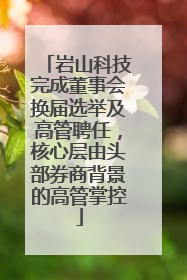 岩山科技完成董事会换届选举及高管聘任，核心层由头部券商背景的高管掌控