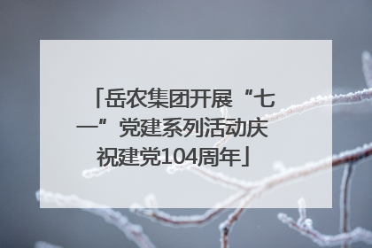 岳农集团开展“七一”党建系列活动庆祝建党104周年