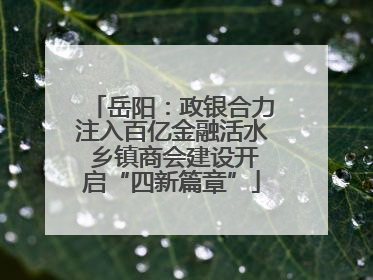 岳阳：政银合力注入百亿金融活水 乡镇商会建设开启“四新篇章”