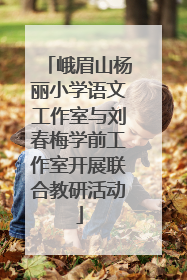 峨眉山杨丽小学语文工作室与刘春梅学前工作室开展联合教研活动
