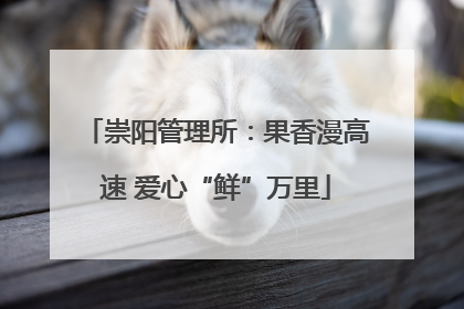 崇阳管理所：果香漫高速 爱心“鲜”万里