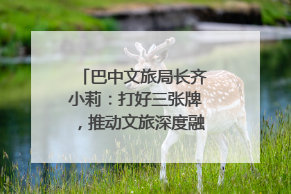 巴中文旅局长齐小莉：打好三张牌，推动文旅深度融合｜文旅局长说