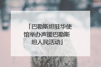巴勒斯坦驻华使馆举办声援巴勒斯坦人民活动