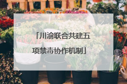 川渝联合共建五项禁毒协作机制