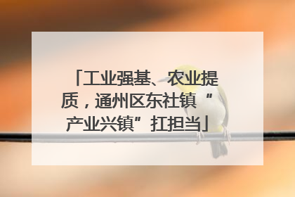 工业强基、农业提质，通州区东社镇“产业兴镇”扛担当