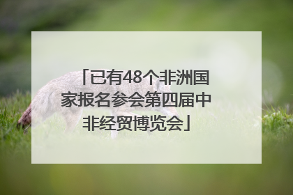 已有48个非洲国家报名参会第四届中非经贸博览会