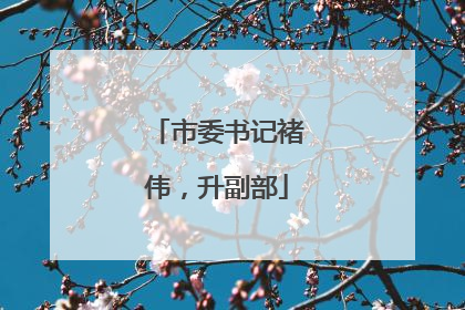 市委书记褚伟，升副部